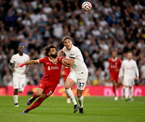 着他们在转 着他们在转